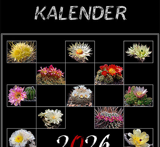 Kakteenkalender 2026